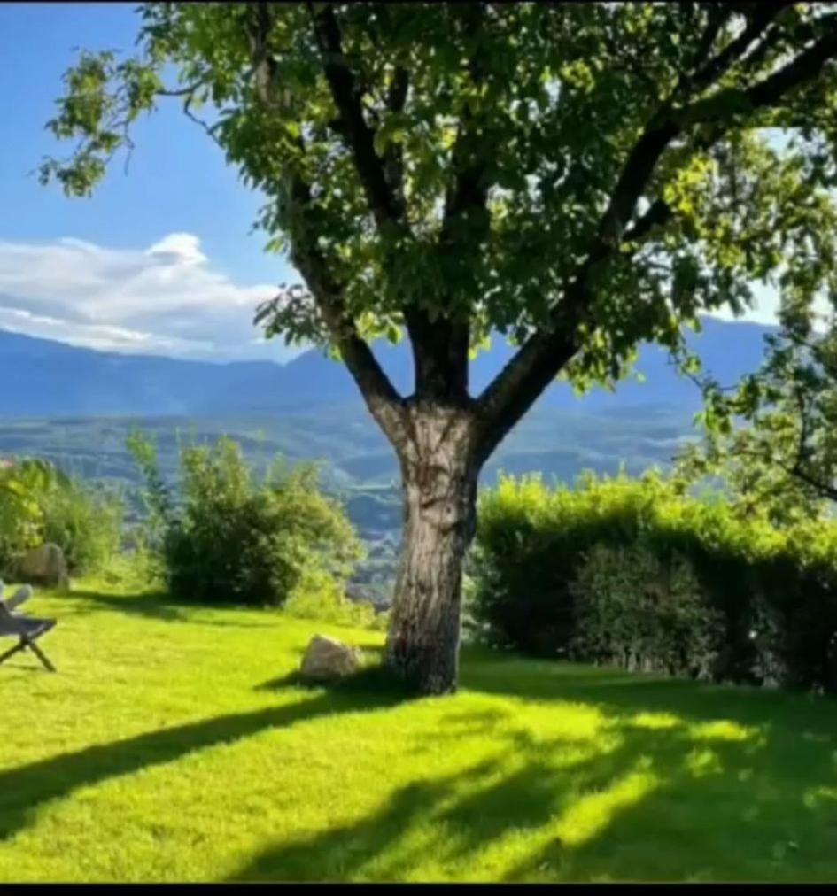 San Antonia Appartement Caldaro Buitenkant foto